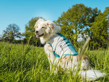 Non-stop  Cooling pull-on vest