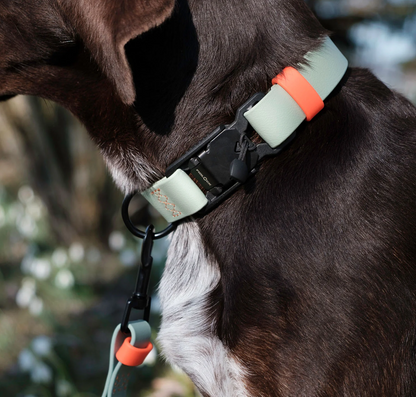 Cloud7 Hundehalsband BioThane Ipanema