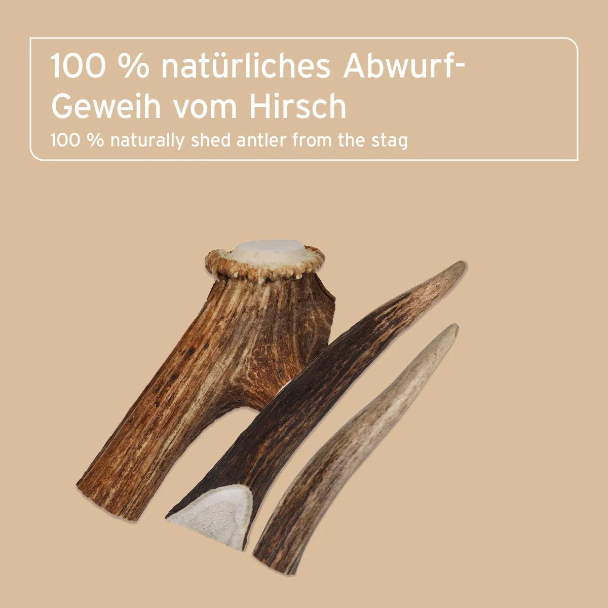 AniForte Hochland Hirschgeweih