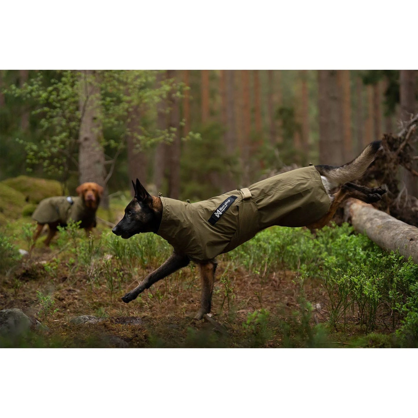 Non-stop Fjord raincoat WD