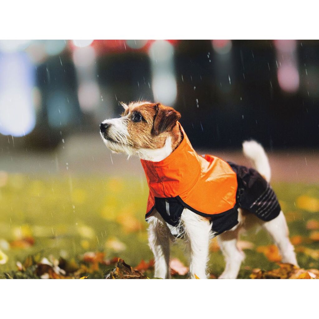 Non-stop Fjord raincoat