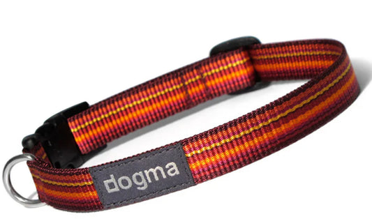 Dogma Hundehalsbänder Little Stripes