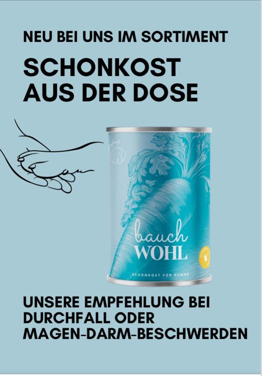 Lieblingshund Bauchwohl