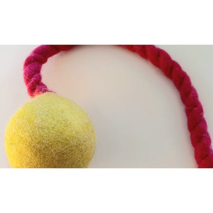 Jumping Schleuder-Filzball