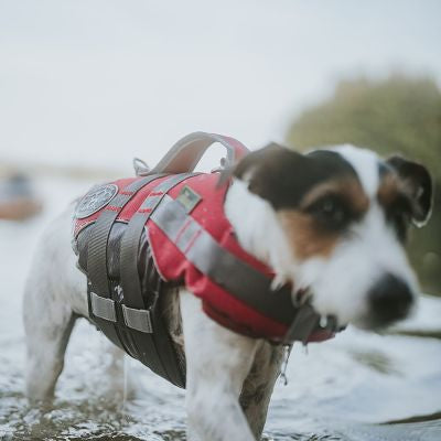 Hunter-Schwimmweste Moss