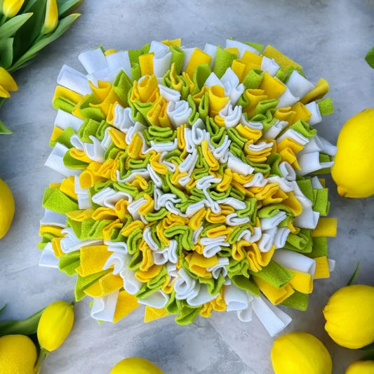 Kl. Schnüffelteppich Lemon