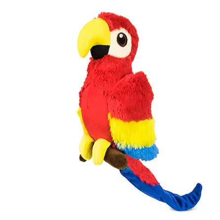 Paula the Parrot