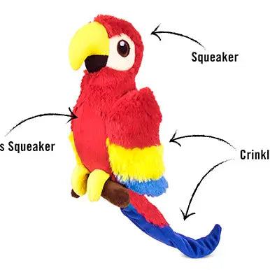 Paula the Parrot