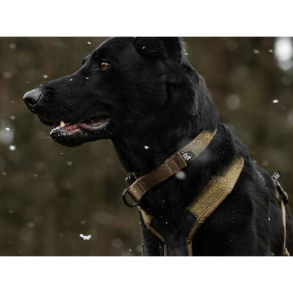 Non-stop Solid adjustable collar WD