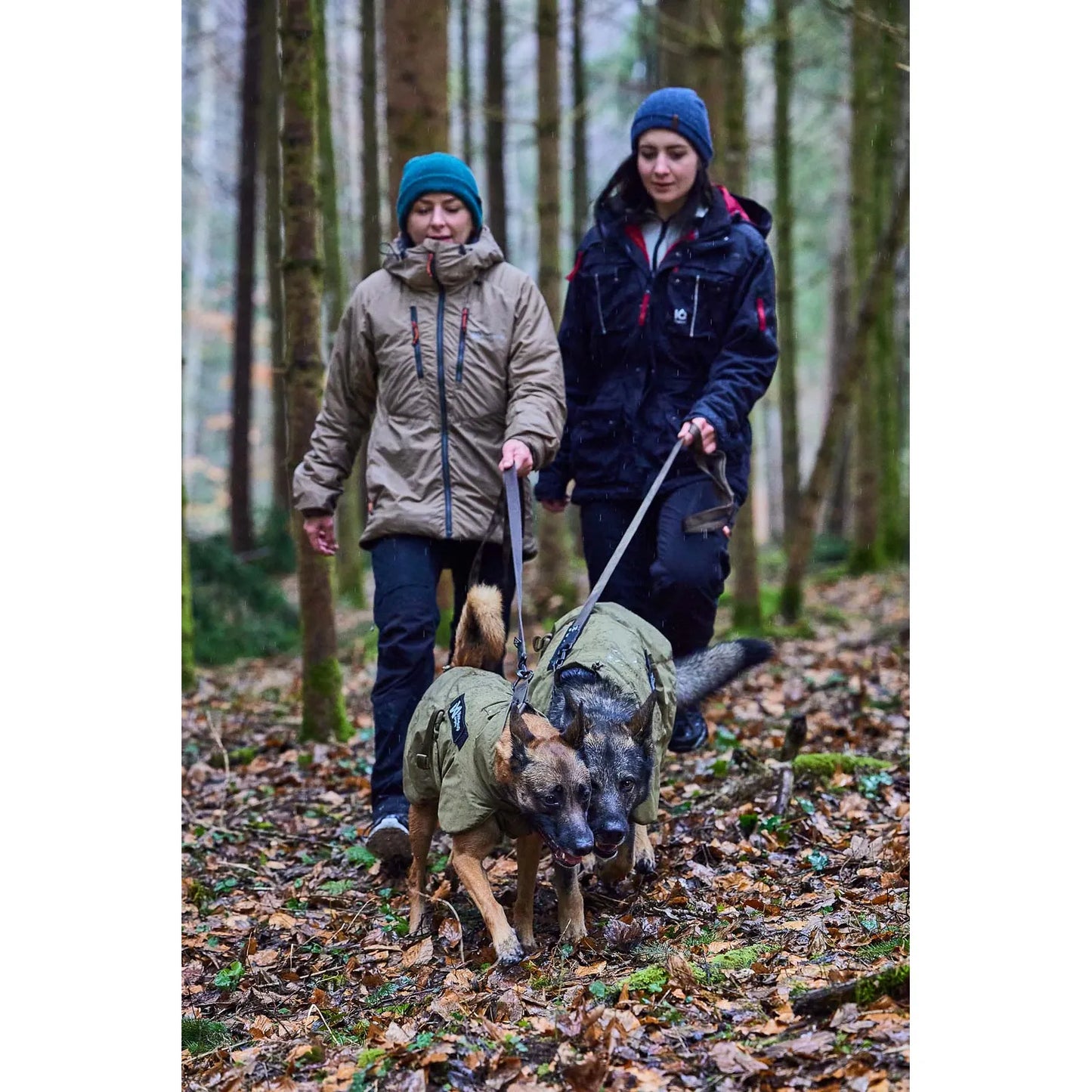Non-stop Solid leash WD