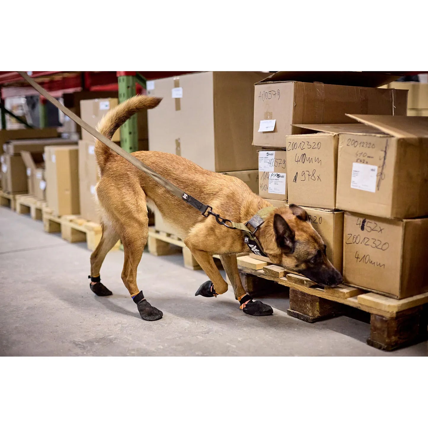 Non-stop Solid leash WD