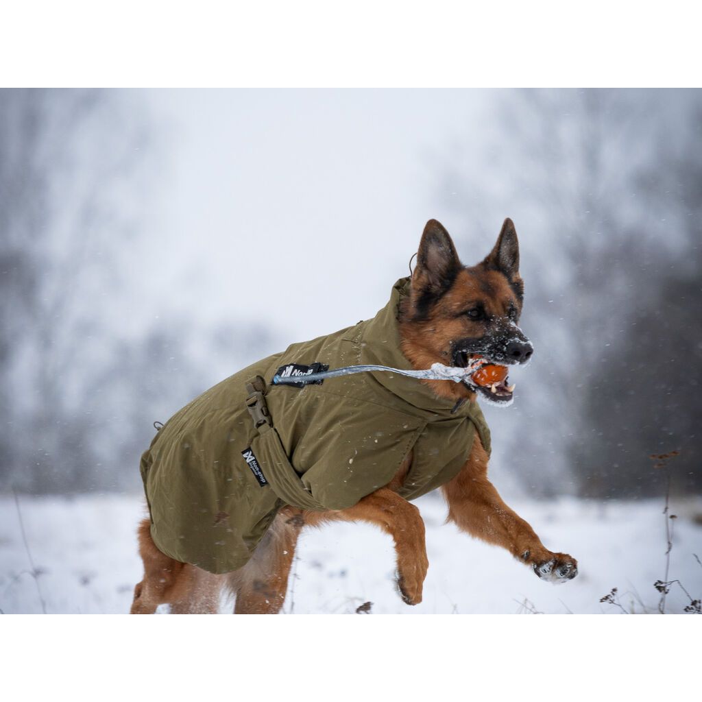 Non-stop Glacier dog jacket WD