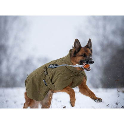 Non-stop Glacier dog jacket WD