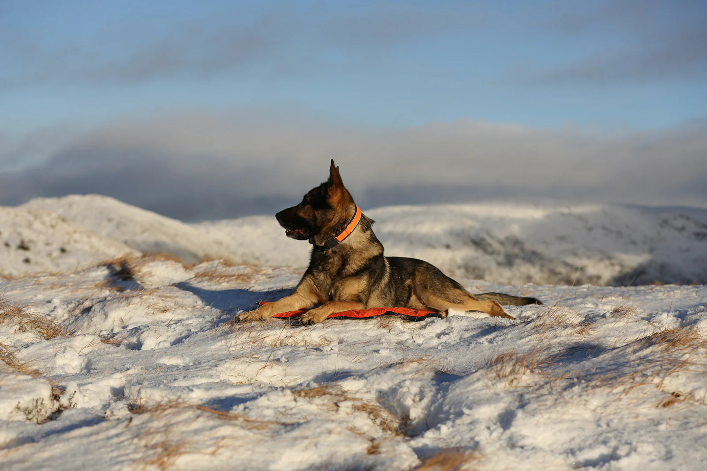 Non-stop Protector bivvy bed