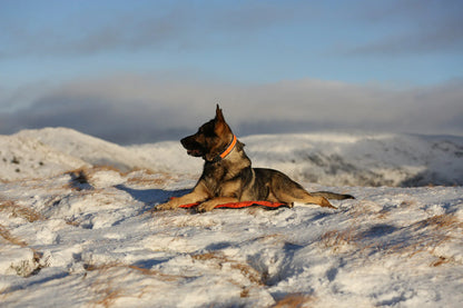 Non-stop Protector bivvy bed