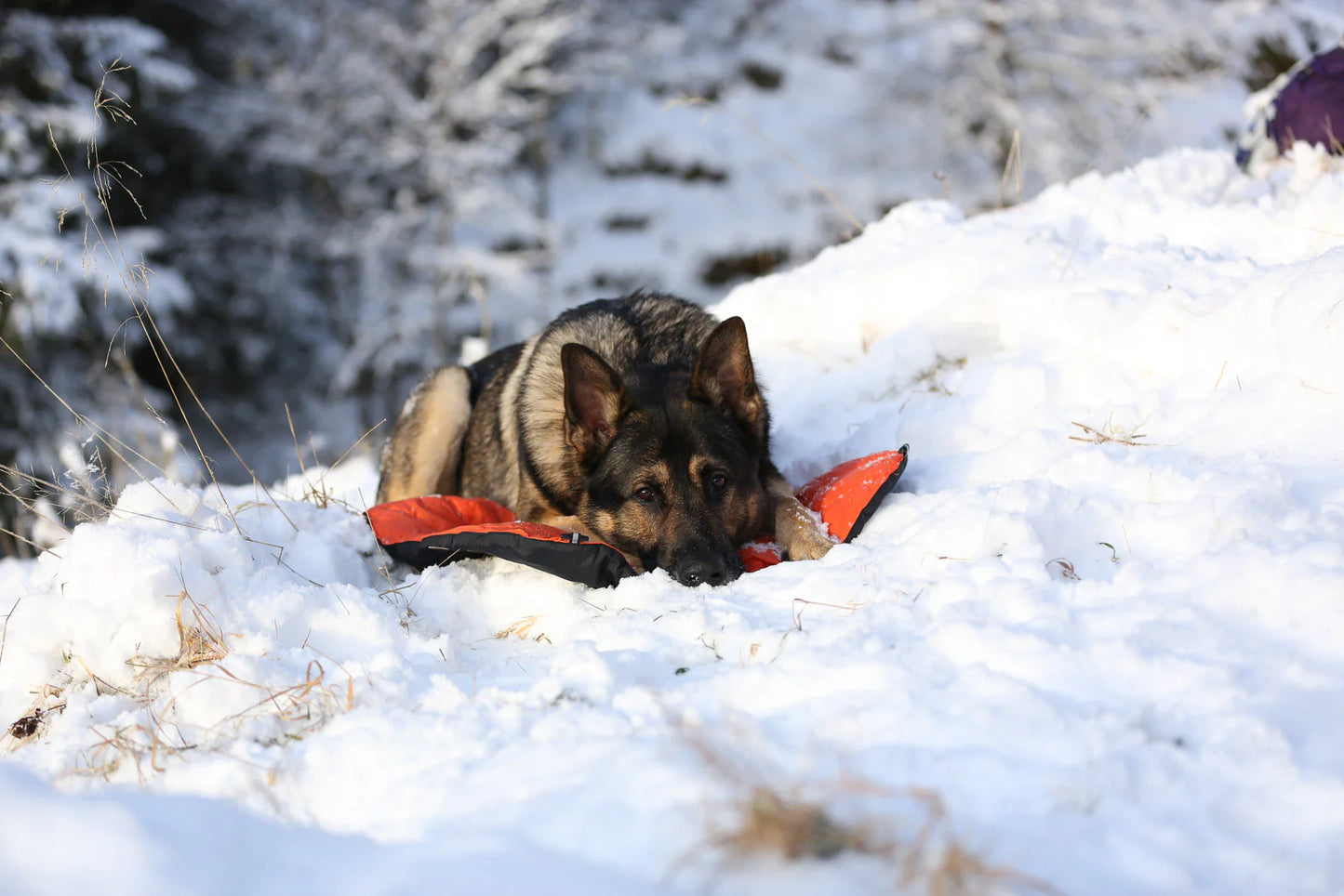 Non-stop Protector bivvy bed