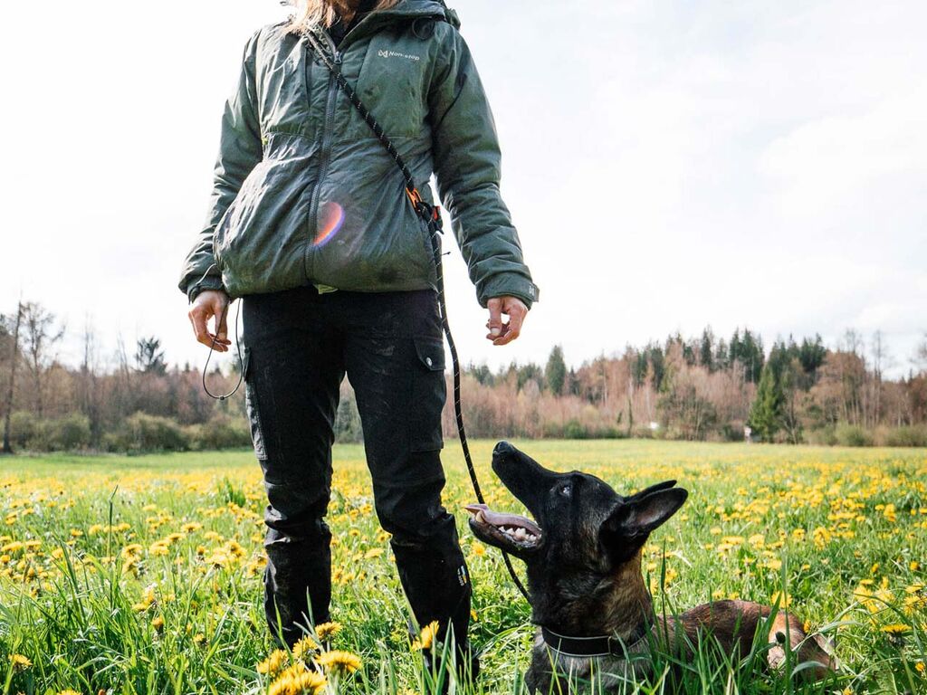 Non-stop Rock adjustable leash