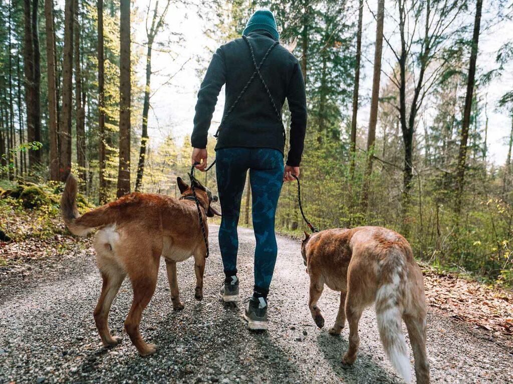 Non-stop Rock adjustable leash