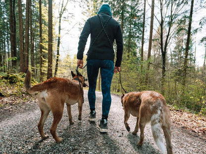 Non-stop Rock adjustable leash