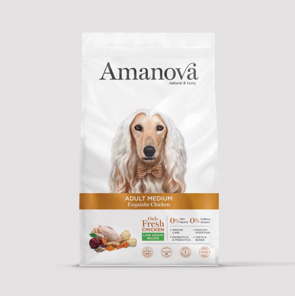 Amanova Adult  Medium - Exquisite Chicken