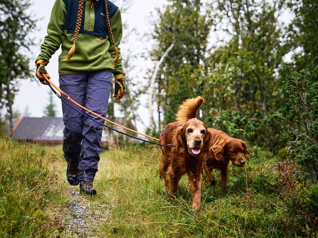 Non-stop Retriever Leash