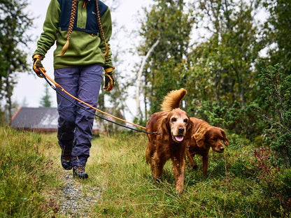 Non-stop Retriever Leash