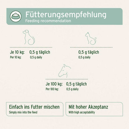 Aniforte Grünlippmuschel Pulver