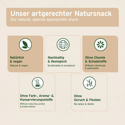 Aniforte Olivenholz Kauknochen