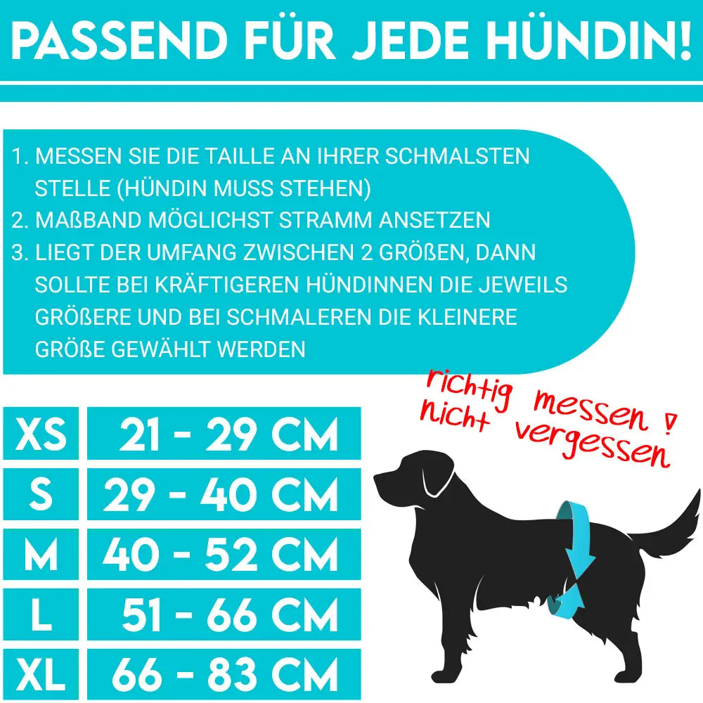 Hundewindeln (3er Pack)