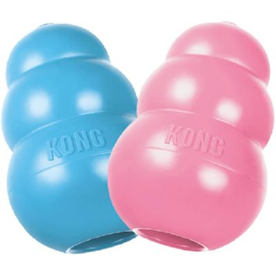 KONG Puppy