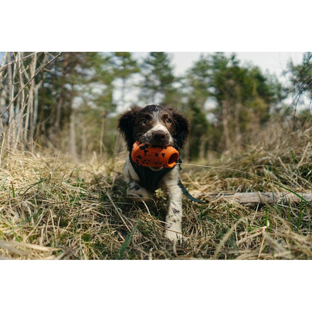 Non-stop Dog throw toy