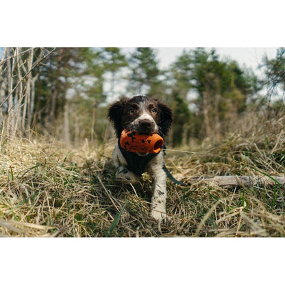 Non-stop Dog throw toy