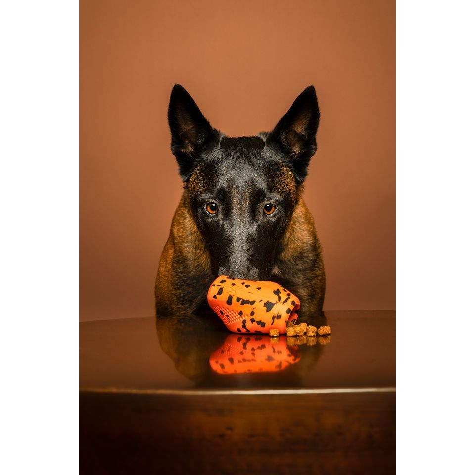 Non-stop Dog throw toy