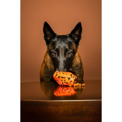 Non-stop Dog throw toy