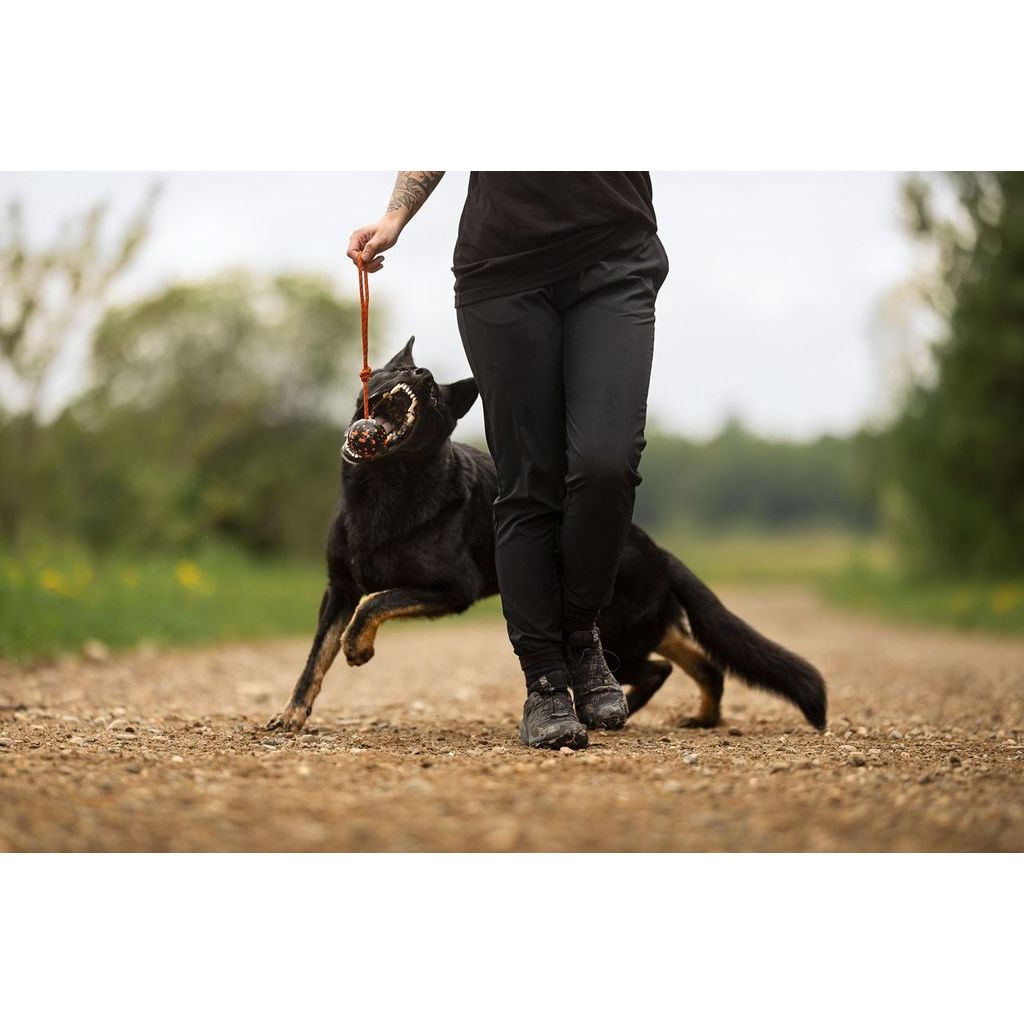 Non-stop Dog ball on rope