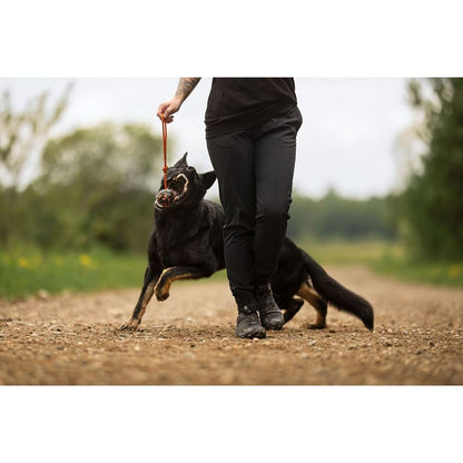 Non-stop Dog ball on rope