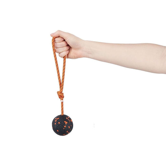Non-stop Dog ball on rope