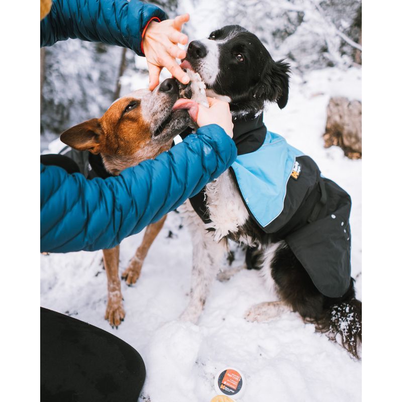Non-stop Paw Care