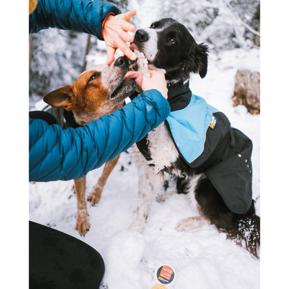 Non-stop Paw Care