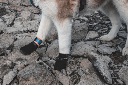 Non-stop Protector bootie