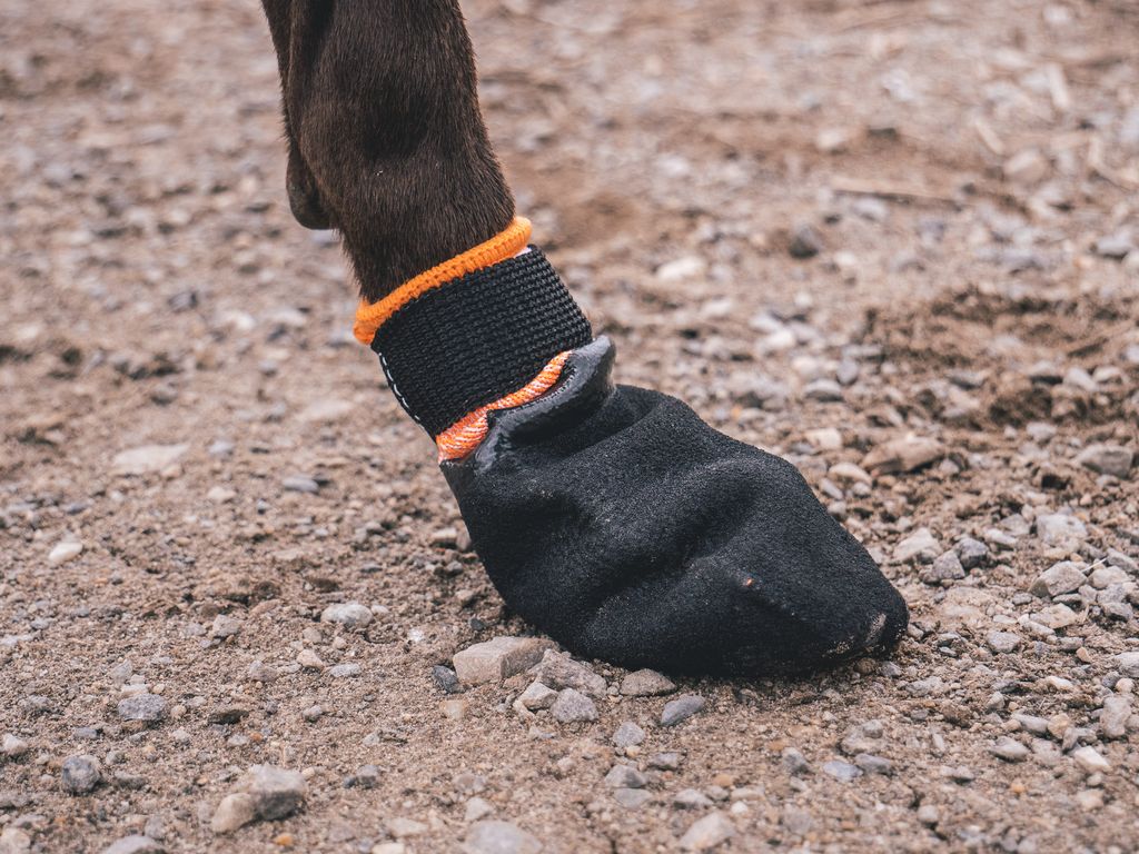 Non-stop Protector bootie
