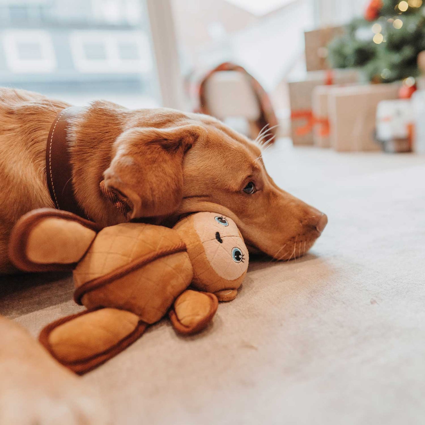 Tough Toys Affe