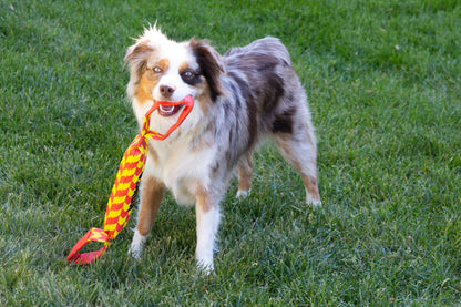KONG Maxx Tug