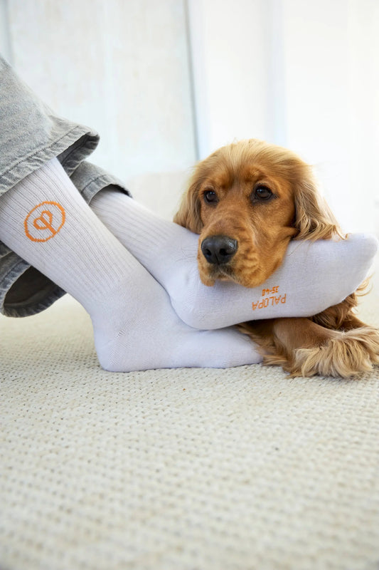 PALOPA TENNIS SOCKEN 3ER SET - LOGO, ORANGE BLUE GREY