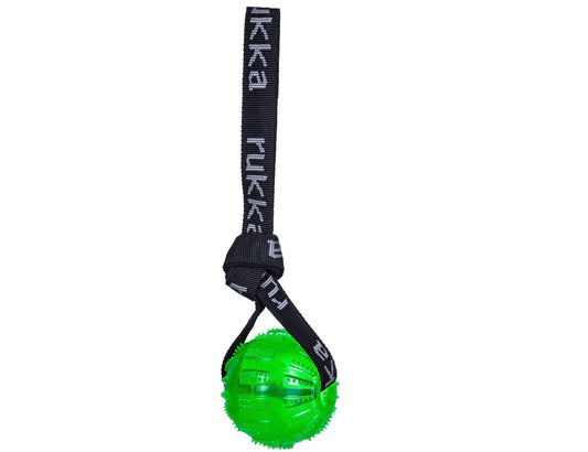 Ruckartig pets Gel ball with handle