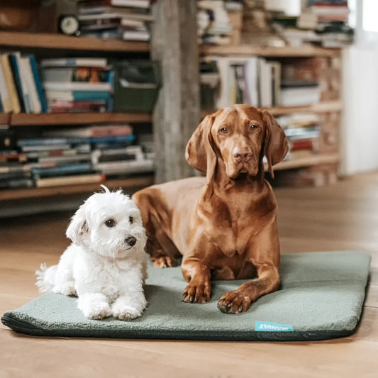 Manuly Hundematte I Komplett-Set inklusive Bag