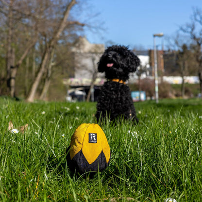 Redoggo Schnüffelei