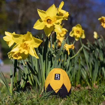 Redoggo Schnüffelei