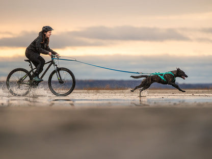 Non-stop Freemotion harness 5.0