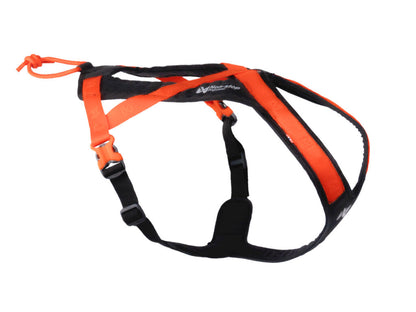 Non-stop Rush harness